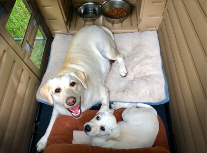 Snap Lock Dog House - Image 2